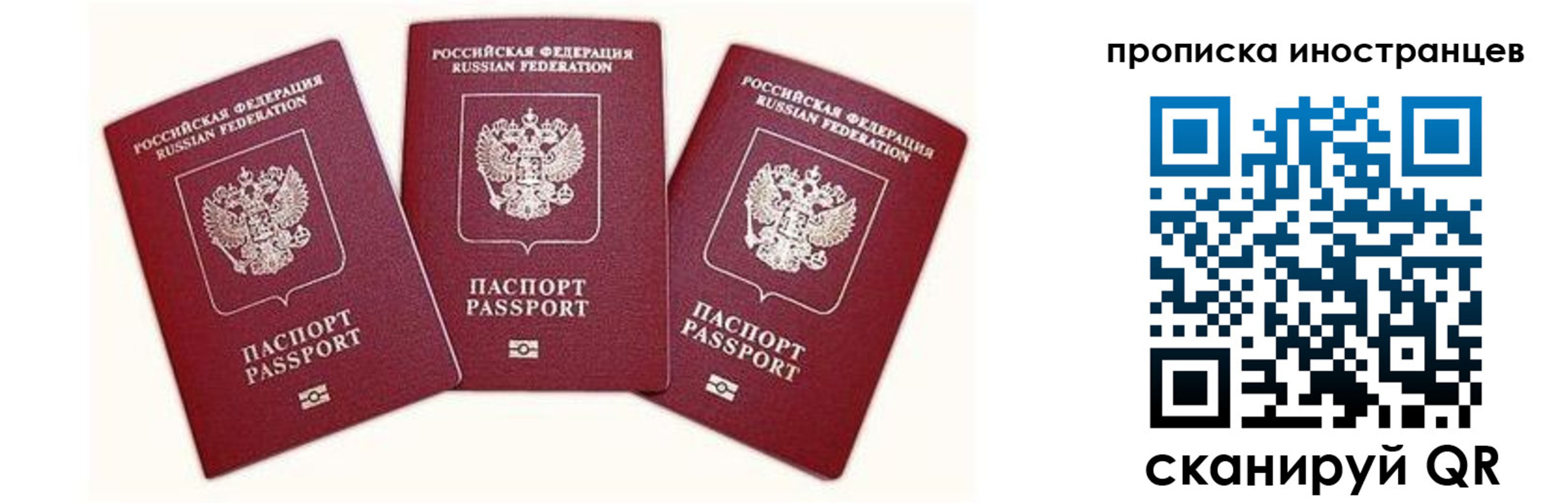 прописка в Пионерском