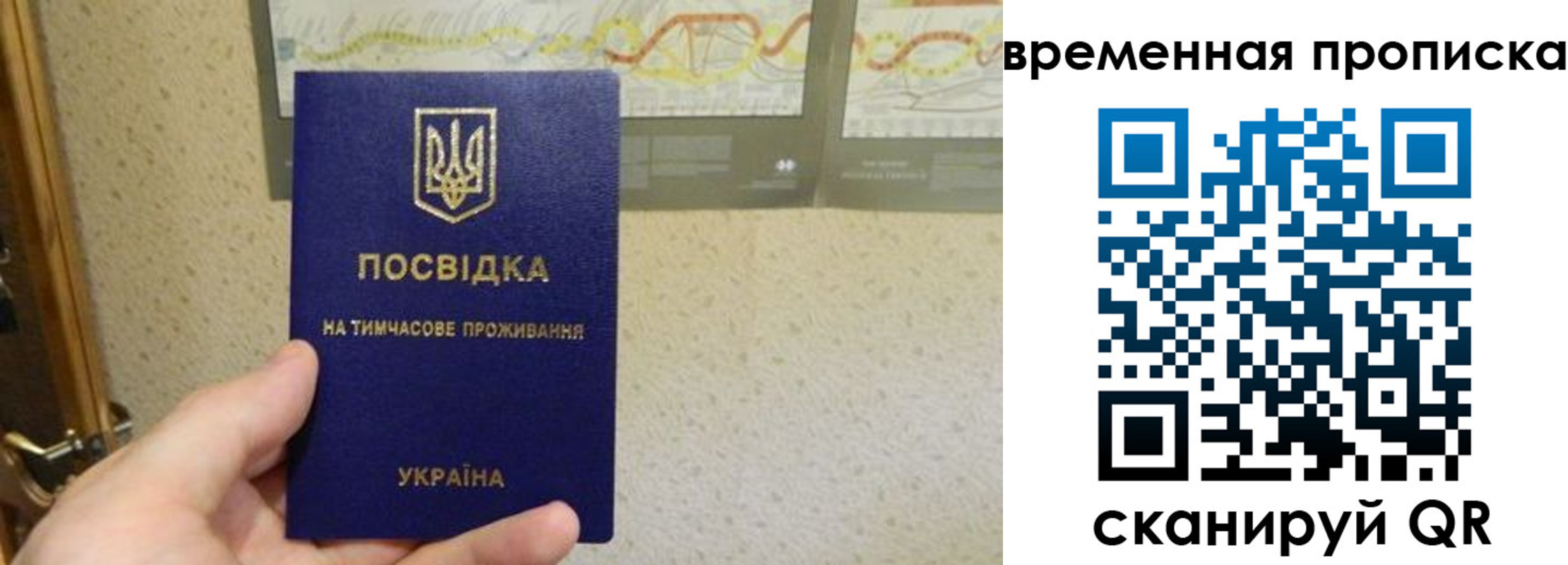 прописка для кредита в Пионерском