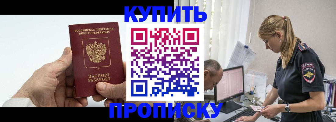 прописка поиск в Пионерском